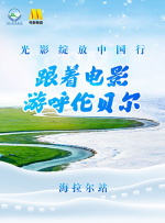 青春草在线观看播放免费视频